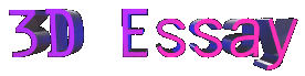 3D Essay